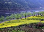 新安江山水画廊旅游攻略 之 石潭