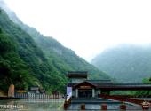陕西太平国家森林公园旅游攻略 之 太平国家森林公园