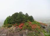 河源龙川霍山风景区旅游攻略 之 山地石榴