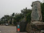 景德镇得雨生态园旅游攻略 之 山石