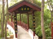 张家港香山旅游攻略 之 偶得廊