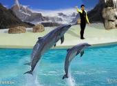 青岛海底世界旅游攻略 之 海兽表演馆