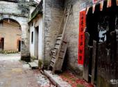 平乐榕津古榕群旅游攻略 之 榕津