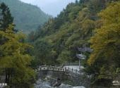 丽水千丝岩旅游攻略 之 听涛亭