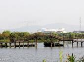 江阴双泾生态园旅游攻略 之 森林湿地景观