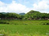 莆田仙水洋景区旅游攻略 之 田园风光
