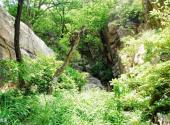 平度大泽山风景区旅游攻略 之 虎溪