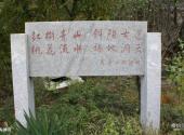 连云港宿城世外桃源风景区旅游攻略 之 陶渊明