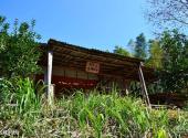 宜丰洞山风景名胜区旅游攻略 之 古城寺遗址