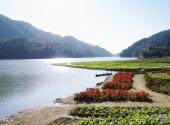 从化石门国家森林公园旅游攻略 之 天池花海