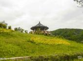 图们日光山森林公园旅游攻略 之 森林公园