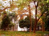 华中农业大学校园风光 之 文法学院