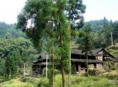 丽水千丝岩旅游攻略 之 民居