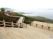 东平戴村坝旅游攻略 之 湿地公园