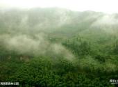 赤水风景区旅游攻略 之 竹海国家森林公园