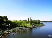 宁波日湖公园旅游攻略 之 日湖