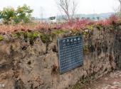 河源林寨古村旅游攻略 之 古墙