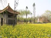 邯郸兰陵王墓旅游攻略 之 风景