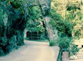 南平溪源峡谷旅游攻略 之 金龟拜寿