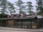深圳海上田园旅游攻略 之 古榕箭场