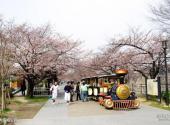 日本大阪城公园旅游攻略 之 大阪城公园