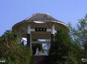 广元苍溪红军渡·西武当山景区旅游攻略 之 华母亭