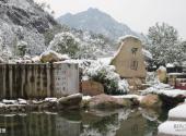丽水千丝岩旅游攻略 之 雪景