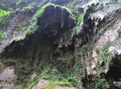 张家界大峽谷旅游攻略 之 灵芝沐浴