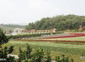 揭阳广东望天湖生态旅游度假区旅游攻略 之 浪漫花海