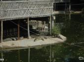 三亚美天涯热带海洋世界旅游攻略 之 鳄鱼湖