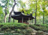苏州天平山风景区旅游攻略 之 御碑楠亭