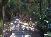 深圳凤凰山旅游攻略 之 山路