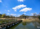 韩国景福宫旅游攻略 之 莲池