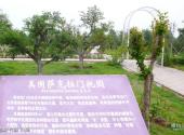 济南国际园博园旅游攻略 之 美国萨克拉门托园