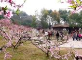 无锡三国水浒城旅游攻略 之 桃园