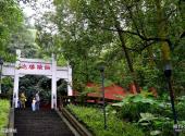 宜宾翠屏山公园旅游攻略 之 仙踪迹牌坊