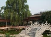 洛阳千唐志斋博物馆旅游攻略 之 花园