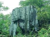 沙湾三道河子森林公园旅游攻略 之 生态公益林
