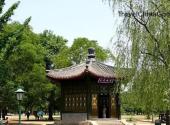 承德避暑山庄旅游攻略 之 莺啭乔木