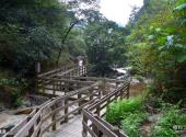 岳西天峡风景区旅游攻略 之 栈道