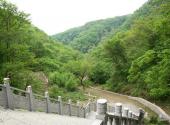 抚顺新宾妈妈沟风景区旅游攻略 之 林木