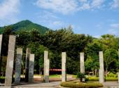 西昌邛海泸山旅游攻略 之 花舞彩坪