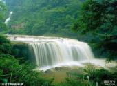 赤水风景区旅游攻略 之 盘龙原始森林公园
