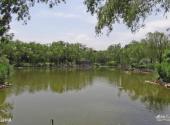 北京柳荫公园旅游攻略 之 园中湖