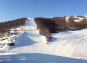 崇礼密苑云顶乐园旅游攻略 之 雪道