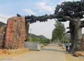 迁安山叶口自然风景区旅游攻略 之 山叶口自然风景区