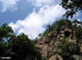 河北清凉山旅游攻略 之 清凉山森林