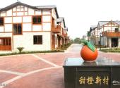 武胜白坪飞龙乡村旅游度假区旅游攻略 之 甜橙新村