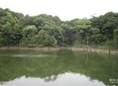 福州旗山国家森林公园旅游攻略 之 东洋湖