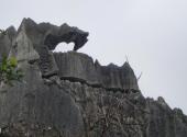 昆明石林风景区旅游攻略 之 凤凰梳翅